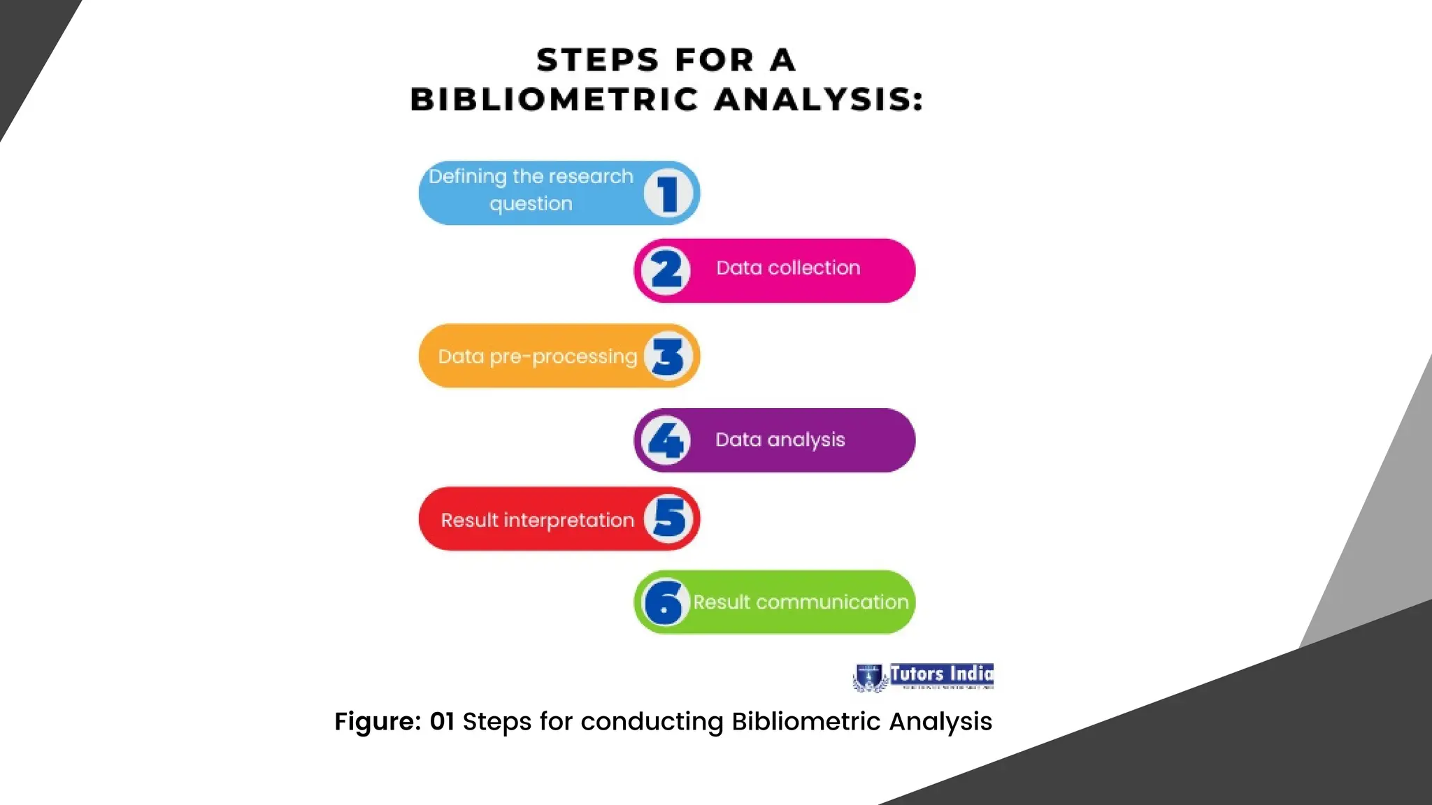 How to conduct a bibliometric analysis? | PDF