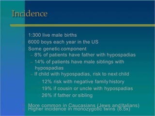 Incidence
1:300 live male births
6000 boys each year in the US
Some genetic component
– 8% of patients have father with hypospadias
– 14% of patients have male siblings with
hypospadias
– If child with hypospadias, risk to next child
12% risk with negative family history
19% if cousin or uncle with hypospadias
26% if father or sibling
More common in Caucasians (Jews andItalians)
Higher incidence in monozygotic twins (8.5x)
 