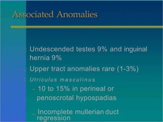 Associated Anomalies
Undescended testes 9% and inguinal
hernia 9%
Upper tract anomalies rare (1-3%)
Ut r ic ulus m a s c u l i n u s
– 10 to 15% in perineal or
penoscrotal hypospadias
– Incomplete mullerian duct
regression
 