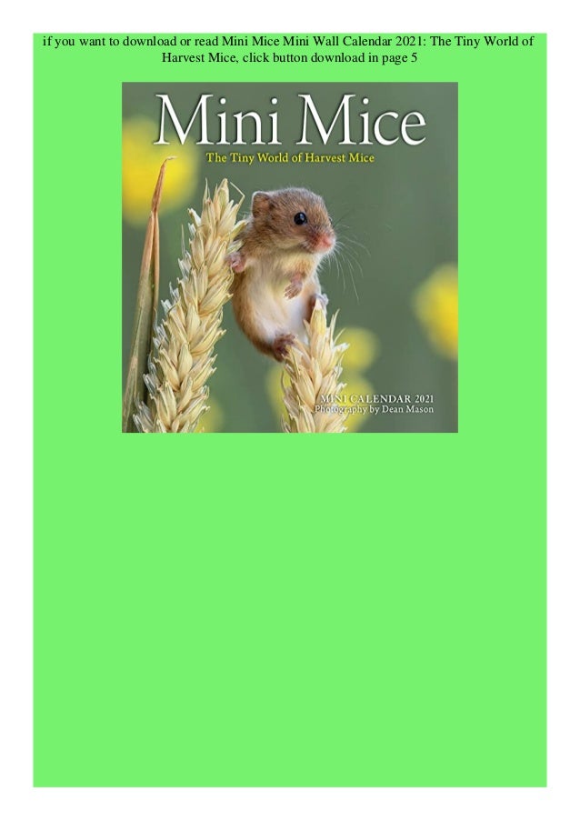 Pdf Mini Mice Mini Wall Calendar 2021 The Tiny World Of Harvest Mice