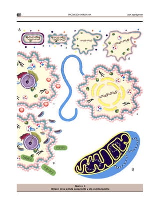 262                 PROGRESOS EN PEDIATRIA                 Arch.argent.pediatr




                           GRÁFICO 4
      Orígen de la célula eucarionte y de la mitocondria
 