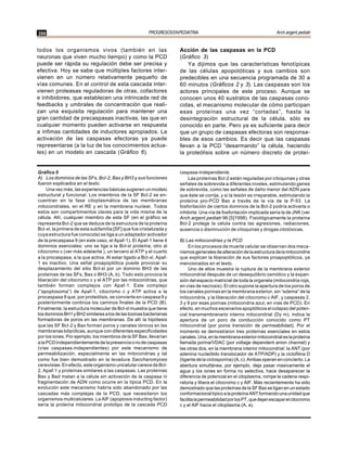 266                                                    PROGRESOS EN PEDIATRIA                                         Arch.argent.pediatr


todos los organismos vivos (también en las                          Acción de las caspasas en la PCD
neuronas que viven mucho tiempo) y como la PCD                      (Gráfico 3)
puede ser rápida su regulación debe ser precisa y                       Ya dijimos que las características fenotípicas
efectiva. Hoy se sabe que múltiples factores inter-                 de las células apopotóticas y sus cambios son
vienen en un número relativamente pequeño de                        predecibles en una secuencia programada de 30 a
vías comunes. En el control de esta cascada inter-                  60 minutos (Gráficos 2 y 3). Las caspasas son los
vienen proteasas reguladoras de otras, cofactores                   actores principales de este proceso. Aunque se
e inhibidores, que establecen una intrincada red de                 conocen unos 40 sustratos de las caspasas cono-
feedbacks y umbrales de concentración que reali-                    cidas, el mecanismo molecular de cómo participan
zan una exquisita regulación para mantener una                      esas proteínas una vez “cortadas”, hasta la
gran cantidad de precaspasas inactivas, las que en                  desintegración estructural de la célula, sólo es
cualquier momento pueden activarse en respuesta                     conocido en parte. Pero ya es suficiente para decir
a ínfimas cantidades de inductores apropiados. La                   que un grupo de caspasas efectoras son responsa-
activación de las caspasas efectoras ya puede                       bles de esos cambios. Es decir que las caspasas
representarse (a la luz de los conocimientos actua-                 llevan a la PCD “desarmando” la célula, haciendo
les) en un modelo en cascada (Gráfico 6).                           la proteólisis sobre un número discreto de proteí-


Gráfico 5                                                           caspasa-independiente.
A) Los dominios de las SFs, Bcl-2, Bax y BH3 y sus funciones            Las proteínas Bcl-2 están reguladas por citoquinas y otras
fueron explicados en el texto.                                      señales de sobrevida a diferentes niveles, estimulando genes
     Una vez más, las experiencias básicas sugieren un modelo       de sobrevida, como las señales de daño menor del ADN para
estructural y funcional. Los miembros de la SF Bcl-2 se en-         que éste se corrija, y si la lesión es irreparable, estimulando la
cuentran en la fase citoplasmática de las membranas                 proteína pro-PCD Bax a través de la vía de la P-53. La
mitocondriales, en el RE y en la membrana nuclear. Todos            fosforilación de ciertos dominios de la Bcl-2 podría activarla o
estos son compartimientos claves para la vida misma de la           inhibirla. Una vía de fosforilación implicada sería la de JNK (ver
célula. Allí, cualquier miembro de esta SF (en el gráfico se        Arch.argent.pediatr 96 [5]1998). Fisiológicamente la proteína
representa Bcl-2 que se deduce de la estructura de la proteína      Bcl-2 protege la célula contra las agresiones, radiaciones,
Bcl-xl, la primera de esta subfamilia [SF] que fue cristalizada y   ausencia o disminución de citoquinas y drogas citotóxicas.
cuya estructura fue conocida) se liga a un adaptador activador
de la precaspasa 9 (en este caso, el Apaf-1). El Apaf-1 tiene 4     B) Las mitocondrias y la PCD
dominios esenciales: uno se liga a la Bcl-xl proteína, otro al           En los procesos de muerte celular se observan dos meca-
citocromo c (ver más adelante ), un tercero al ATP y el cuarto      nismos generales de alteración de la estructura de la mitocondria
a la procaspasa, a la que activa. Al estar ligado a Bcl-xl, Apaf-   que explican la liberación de sus factores proapoptóticos, ya
1 es inactivo. Una señal proapoptótica puede provocar su            mencionados en el texto.
desplazamiento del sitio Bcl-xl por un dominio BH3 de las                Uno de ellos muestra la ruptura de la membrana exterior
proteínas de las SFs, Bax o BH3 (A, b). Todo esto provoca la        mitocondrial después de un desequilibrio osmótico y la expan-
liberación del citocromo c y el ATP por las mitocondrias, que       sión del espacio matricial de toda la organela (mitocondria roja,
también forman complejos con Apaf-1. Este complejo                  en vías de necrosis). El otro supone la apertura de los poros de
(“apoptosoma”) de Apaf-1, citocromo c y ATP activa a la             los canales porinas en la membrana exterior, sin “edema” de la
procaspasa 9 que, por proteólisis, se convierte en caspasa 9 y      mitocondria, y la liberación del citocromo c AIF, y caspasas 2,
posteriormente continúa los caminos finales de la PCD (B).          3 y 9 por esas porinas (mitocondria azul, en vías de PCD). En
Finalmente, la estructura molecular de Bcl-xl muestra que tiene     efecto, en muchos escenarios apoptóticos el colapso del poten-
los dominios BH1 y BH2 similares a los de las toxinas bacterianas   cial transmembranario interno mitocondrial (Dy m), indica la
formadoras de poros en las membranas. De allí la hipótesis          apertura de un poro de conducción conocido como PT
que las SF Bcl-2 y Bax forman poros y canales iónicos en las        mitocondrial (por poros transición de permeabilidad). Por el
membranas bilipídicas, aunque con diferentes especificidades        momento se demostraron tres proteínas esenciales en estos
por los iones. Por ejemplo, los miembros de la SF Bax, llevarían    canales. Una, en la membrana exterior mitocondrial es la proteína
a la PCD independientemente de la presencia o no de caspasas        llamada porina/VDAC (por voltage dependent anion channel) y
(vías caspasas-independientes) por este mecanismo de                las otras dos, en la membrana interior mitocondrial: la ANT (por
permeabilización, especialmente en las mitocondrias y tal           adenina nucleótido translocador de ATP/ADP) y la ciclofilina D
como fue bien demostrado en la levadura Saccharomyces               (ligante de la ciclosporina) (A, c). Ambas operan en concierto. La
cerevisiae. En efecto, este organismo unicelular carece de Bcl-     abertura simultánea, por ejemplo, deja pasar masivamente el
2, Apaf-1 y proteínas similares a las caspasas. Las proteínas       agua y los iones en forma no selectiva, hace desaparecer la
Bax y Bad matan a la célula sin activación de la caspasa ni         diferencia de potencial en el citoplasma, rompe la cadena respi-
fragmentación de ADN como ocurre en la típica PCD. En la            ratoria y libera el citocromo c y AIF. Más recientemente ha sido
evolución este mecanismo habría sido abandonado por las             demostrado que las proteínas de la SF Bax se ligan en un estado
cascadas más complejas de la PCD, que necesitaron los               conformacional típico a la proteína ANT formando una unidad que
organismos multicelulares. La AIF (apoptosis inducting factor)      facilita la permeabilidad por los PT, que dejan escapar el citocromo
sería la proteína mitocondrial prototipo de la cascada PCD          c y el AIF hacia el citoplasma (A, a).
 
