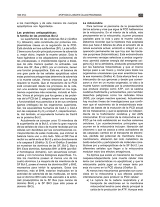 1999; 97(4)                         APOPTOSIS O LA MUERTE CELULAR PROGRAMADA                               269


a los macrófagos y de esta manera los cuerpos             La mitocondria
apoptópticos son fagocitados.                                 Para terminar el panorama de la presentación
                                                          de los actores y vías que sigue la PCD hablaremos
Las proteínas antiapoptóticas:                            de la mitocondria. En el interior de la célula, más
la familia de las proteínas Bcl-2                         precisamente en la mitocondria, ocurren procesos
    La superfamilia de las proteínas Bcl-2 (Gráfico       capitales para la vida y para la muerte celular.
5 y Glosario), está constituida por proteínas cito-       Debemos recordar que la hipótesis más aceptada
plasmáticas claves en la regulación de la PCD.            dice que hace 2 billones de años el ancestro de la
Está dividida en tres subfamilias (SF). La de la Bcl-     célula eucariota actual, endocitó e integró en co-
2 tiene como función principal promover la sobrevida      operación permanente las que hoy son las bacte-
o, mejor dicho, impedir la muerte celular. Esto lo        rias purpúreas (fotosintéticas). Esta endosimbiosis
hace ligándose a los adaptadores (cofactores) de          dio enormes ventajas selectivas a ambos organis-
las precaspasas, e impidiéndoles ligarse a éstas,         mos: permitió obtener energía del emergente oxí-
que de esta manera quedan no activadas. Las               geno (O2) de la atmósfera, producido precisamente
otras dos SF, Bax y BH3, por el contrario, tienen         por las bacterias fotosintéticas y que al mismo
una función proapoptótica. Esto es, el balance de         tiempo pasó a ser tóxico y mortal para todos los
una gran parte de las señales apoptóticas sobre           organismos unicelulares que eran aneróbicos has-
estas proteínas antagonistas determina la sobrevida       ta ese momento (Gráfico 4). Esta alianza llevó a un
o la muerte celular. Vemos entonces que la vida           intercambio de sus genomas y desde que comen-
requiere la muerte. Que el mecanismo de la PCD            zaron a vivir en un mundo oxigenado, la vida y la
está conservado desde los principios de la vida,          muerte fueron controladas por la protomitocondria
con una evidente mayor complejidad en los orga-           que produce energía como ATP, con la cadena
nismos superiores más recientes, incluido el hom-         oxidativa fosforilante y antioxidantes, pero también
bre. Vimos al principio que los genes y las proteí-       desechos peligrosos como los radicales libres
nas de la PCD del C. elegans tienen una homología         (ROS, por oxigen reactive species). Actualmente
y funcionalidad muy parecida a la de sus similares        hay muchas líneas de investigaciones que confir-
(genes ortólogos) de los organismos superiores.           man que el nacimiento de la endosimbiosis esta-
Así, los equivalentes humanos de Ced-3 y Ced-4            bleció las bases de la evolución de la PCD actual
son las caspasas 8 y 9 y el Apaf-1, respectivamen-        de los metazoarios y que la apoptosis es indepen-
te. Así también, el equivalente humano de Ced-9           diente de la fosforilación oxidativa y del ADN
es la proteína Bcl-2.                                     mitocondrial. El rol central de la mitocondria en la
    Actualmente se conocen unos 15 miembros de            PCD ya ha sido establecido en muchos sistemas
la superfamilia de la Bcl-2, si bien la gran mayoría      celulares. Los acontecimientos principales que
de las señales de vida o de muerte recibidas por las      ocurren en la mitocondria incluyen: liberación del
células son decididas por las concentraciones co-         citocromo c que se asocia a otros activadores de
rrespondientes de estas moléculas, que inclinan la        las caspasas; cambio en el transporte de electro-
balanza hacia uno u otro lado. Sólo el DR Fas al          nes, pérdida del potencial de membrana trans-
recibir su señal evita al Bcl-2 y activa directamente     membranario, alteración del ciclo metabólico de
a la caspasa 8 (Gráfico 3): En el Gráfico 5 también       óxido-reducción y participación de moléculas cons-
se muestran los dominios de las SF, Bcl-2, Bax y          titutivas pro y antiapoptóticas de la SF Bcl-2. Las
BH. Esos dominios, llamados BH1 al BH4 (por Bcl-          diferentes señales que llegan a la mitocondria
2 homologous domains), son secuencias conser-             modulan esos dos efectos antagónicos.
vadas y con funciones biológicas específicas. To-             Ya dijimos que existe un mecanismo de muerte
dos los miembros poseen al menos uno de los               caspasa-independiente (una muerte celular más
cuatro dominios. La mayoría de los miembros de la         lenta con características no apoptóticas) y que la
SF Bcl-2, posee al menos los dominios BH1 y BH2,          mitocondria podría jugar un rol mayor tanto por
necesarios para inhibir la apoptosis. Estos dos           esta vía como en la PCD clásica (Gráfico 5).
dominios, más el BH4, estarían implicados en la               Al menos tres mecanismos generales son cono-
actividad de sobrevida de las moléculas, en tanto         cidos en la mitocondria y sus efectos podrían
que el dominio BH3 está más asociado a la activi-         interrelacionarse para producir la PCD celular:
dad proapoptótica de la SF Bax (que carece de                 a) La ruptura de la cadena respiratoria y el
dominio BH4) y la SF BH3 (que sólo posee el                       transporte de electrones en la membrana
dominio BH3).                                                     mitocondrial tendría como efecto principal la
                                                                  caída de la producción de ATP. Aunque esto
 