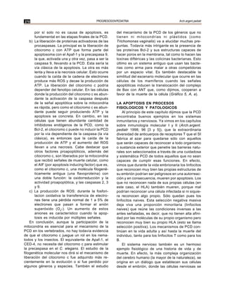 270                                            PROGRESOS EN PEDIATRIA                             Arch.argent.pediatr


       por sí solo no es causa de apoptosis, es             del mecanismo de la PCD de los géneros que no
       fundamental en las etapas finales de la PCD.         tienen ni mitocondrias ni plástidos (como
    b) La liberación de proteínas activadoras de las        Trichomonas vaginalis) va a elucidar muchas pre-
       procaspasas. La principal es la liberación de        guntas. Todavía más intrigante es la presencia de
       citocromo c con ATP que forma parte del              las proteínas Bcl-2 y sus estructuras capaces de
       apoptosoma con el Apaf-1 y la precaspasa 9,          hacer poros en la membrana, tal como lo hacen las
       la que, activada una y otra vez, pasa a ser la       toxinas diftéricas y las colicinas bacterianas. Esto
       caspasa 9, llevando a la PCD. Esta sería la          último es un sistema antiguo que usan las bacte-
       vía clásica de la apoptosis. La otra es más          rias como arma para matar a otras competidoras
       lenta y lleva a la necrosis celular. Esto ocurre     por un espacio vital. Es también destacable la
       cuando la caída de la cadena de electrones           similitud del escenario molecular que ocurre en las
       produce más ROS y decae la producción de             células de los mamíferos cuando las señales
       ATP. La liberación del citocromo c podría            apoptóticas inducen la translocación del complejo
       depender del fenotipo celular. En las células        de Bax con ANT que, como dijimos, cooperan a
       donde la producción del citocromo c es abun-         favor de la muerte de la célula (Gráfico 5, A, a).
       dante la activación de la caspasa después
       de la señal apoptótica sobre la mitocondria          LA APOPTOSIS EN PROCESOS
       es rápida, pero como el citocromo c es abun-         FISIOLOGICOS Y PATOLOGICOS
       dante puede seguir produciendo ATP y la                  Al principio de este capítulo dijimos que la PCD
       apoptosis se concreta. En cambio, en las             encontraba buenos ejemplos en los sistemas
       células que tienen abundante cantidad de             inmunitarios y nerviosos. Ya vimos en los capítulos
       inhibidores endógenos de la PCD, como la             sobre inmunología molecular I y II (Arch.argent.
       Bcl-2, el citocromo c puede no inducir la PCD        pediatr 1998; 96 [3 y 5]), que la extraordinaria
       por la vía dependiente de la caspasa (la vía         diversidad de anticuerpos de receptores T que el SI
       clásica), es entonces que la caída de la             fabrica al azar para quedarse sólo con aquellos
       producción de ATP y el aumento del ROS               que serán capaces de reconocer a todo organismo
       llevan a una necrosis. Cabe destacar que             o sustancia exterior que penetre las barreras natu-
       otros factores proapoptóticos, además del            rales son seleccionados a través de una cuidadosa
       citocromo c, son liberados por la mitocondria        y sistemática PCD de todos aquellos que no sean
       que recibió señales de muerte celular, como          capaces de cumplir esas funciones. En efecto,
       el AIF (por apoptosis inducing factor) que es,       vimos que durante la vida embrionaria los linfocitos
       como el citocromo c, una molécula filogené-          que reconocen muy bien las propias estructuras de
       ticamente antigua (una flavoproteína) con            su embrión podrían ser peligrosos en una autorreac-
       una doble función: la oxidorreducción y la           ción y en consecuencia, mueren por apoptosis. Los
       actividad proapoptótica, y las caspasas 2, 3         que no reconocen nada de sus propias células (en
       y 9.                                                 este caso, el HLA) también mueren, porque mal
    c) La producción de ROS: durante la fosfori-            podrían reconocer una célula infectada si ni siquie-
       lacion oxidativa la transferencia de electro-        ra reconocen algo propio. Sólo quedan pues los
       nes tiene una pérdida normal de 1 a 5% de            linfocitos naives. Esta selección negativa masiva
       electrones que pasan a formar el anión               deja viva una proporción minoritaria (linfocitos
       superóxido (O 2-). Un aumento de estos               naives) que reúne las condiciones inversas a las
       aniones es característico cuando la apop-            antes señaladas, es decir, que no tienen alta afini-
       tosis es inducida por múltiples señales.             dad por las moléculas de su propio organismo pero
    En conclusión, aunque la participación de la            reconocen muy bien su propio HLA (esto se llama
mitocondria es esencial para el mecanismo de la             selección positiva). Los mecanismos de PCD con-
PCD en los vertebrados, no hay todavía evidencia            tinúan en la vida adulta y así hasta la muerte del
de que el citocromo c juegue un rol en los nema-            individuo, tanto para los linfocitos T como para los
todos y los insectos. El equivalente de Apaf-1, el          B.
CED-4, no necesita del citocromo c para estimular               El sistema nervioso también es un hermoso
la precaspasa en el C. elegans. El estudio de la            ejemplo fisiológico de una historia de vida y de
filogenética molecular nos dirá si el mecanismo de          muerte. En efecto, la más compleja organización
liberación del citocromo c fue adquirido más re-            del cerebro humano (la mayor de la naturaleza), se
cientemente en la evolución o si fue perdido por            origina en un diálogo que establecen sus células
algunos géneros y especies. También el estudio              desde el embrión, donde las células nerviosas se
 