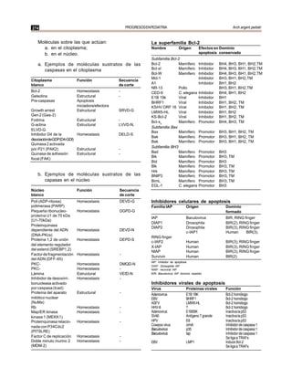 274                                                  PROGRESOS EN PEDIATRIA                                            Arch.argent.pediatr


   Moléculas sobre las que actúan:                                La superfamilia Bcl-2
     a. en el citoplasma;                                         Nombre              Origen        Efectos en Dominio
     b. en el núcleo.                                                                               apoptosis conservado
                                                                  Subfamilia Bcl-2
   a. Ejemplos de moléculas sustratos de las                      Bcl-2           Mamífero          Inhibidor   BH4, BH3, BH1, BH2,TM
      caspasas en el citoplasma                                   Bcl-xl          Mamífero          Inhibidor   BH4, BH3, BH1, BH2,TM
                                                                  Bcl-W           Mamífero          Inhibidor   BH4, BH3, BH1, BH2,TM
                                                                  Mcl-1                             Inhibidor   BH3, BH1, BH2,TM
Citoplasma                 Función               Secuencia
blanco                                           de corte         A1                                Inhibidor   BH1, BH2
                                                                  NR-13           Pollo                         BH3, BH1, BH2,TM
Bcl-2                      Homeostasis           -                CED-9           C. elegans        Inhibidor   BH4, BH1, BH2
Gelsolina                  Estructural           -                E1B 19k         Viral             Inhibidor   BH1
Pre-caspasas               Apoptosis                              BHRF1           Viral             Inhibidor   BH1, BH2, TM
                           iniciadora/efectora                    KSHV ORF 16 Viral                 Inhibidor   BH1, BH2, TM
Growth arrest              Estructural           SRVD-G           LMW5-HL         Viral             Inhibidor   BH1, BH2
Gen 2 (Gas-2)                                                     KS-Bcl-2        Viral             Inhibidor   BH1, BH2, TM
Fodrina                    Estructural           -                Bcl-x5          Mamífero          Promotor    BH4, BH3, TM
G-actina                   Estructural           LVVD-N,
                                                                  Subfamilia Bax
ELVD-G
                                                                  Bax             Mamífero          Promotor    BH3, BH1, BH2, TM
Inhibidor D4 de la         Homeostasis           DELD-S
                                                                  Bak             Mamífero          Promotor    BH3, BH1, BH2, TM
disociacióndeGDP(D4-GDI)
                                                                  Bak             Mamífero          Promotor    BH3, BH1, BH2, TM
Quinasa 2 activada
                                                                  Subfamilia BH3
por P21 (PAK2)             Estructural           -
Quinasa de adhesión        Estructural           -                Bad             Mamífero          Promotor    BH3
                                                                  Bik             Mamífero          Promotor    BH3, TM
focal (FAK)
                                                                  Bid             Mamífero          Promotor    BH3
                                                                  Blk             Mamífero          Promotor    BH3, TM
                                                                  Hrk             Mamífero          Promotor    BH3, TM
   b. Ejemplos de moléculas sustratos de las                      BNIP3           Mamífero          Promotor    BH3, TM
      capasas en el núcleo                                        BimL            Mamífero          Promotor    BH3, TM
                                                                  EGL-1           C. elegans        Promotor    BH3
Núcleo                     Función               Secuencia
blanco                                           de corte
Poli (ADP-ribosa)          Homeostasis           DEVD-G           Inhibidores celulares de apoptosis
polimerasa (PARP)                                                 Familia IAP              Origen                  Dominio
Pequeña ribonucleo-        Homeostasis           DGPD-G                                                            formado
proteína U1 de 70 kDa
                                                                  IAP                      Baculovirus             BIR, RING finger
(U1-70kDa)
                                                                  DIAP1                    Drosophila              BIR(2), RING finger
Proteinquinasa
                                                                  DIAP2                    Drosophila              BIR(3), RING finger
dependiente del ADN        Homeostasis           DEVD-N
                                                                                           c-IAP1                  Human      BIR(3),
(DNA-PKcs)
                                                                  RING finger
Proteína 1,2 de unión      Homeostasis           DEPD-S
                                                                  c-IAP2                   Human                   BIR(3), RING finger
del elemento regulador
                                                                  X-IAP                    Human                   BIR(3), RING finger
del esterol (SREBP1,2)
                                                                  NIAP                     Human                   BIR(3), RING finger
Factor de fragmentación    Homeostasis           -
                                                                  Survivin                 Human                   BIR(2)
del ADN (DFF-45)
                                                                  IAP: inhibidor de apoptosis
PKC-                       Homeostasis           DMQD-N           DIAP: Drosophila IAP
PKC-                       Homeostasis           -                NIAP: neuronal IAP
Lámina                     Estructural           VEID-N           BIR: Baculovirus IAP dominio repetido
Inhibidor de desoxirri-    Homeostasis           -
bonucleasa activado                                               Inhibidores virales de apoptosis
por caspasa (Icad)                                                Virus                    Proteínas virales       Función
Proteína del aparato       Estructural           -                Adenovirus               E1B 19K                 Bcl-2 homólogo
mitótico nuclear                                                  EBV                      BHRF1                   Bcl-2 homólogo
(NuMa)                                                            ASFV                     LMW5-HL                 Bcl-2 homólogo
Rb                         Homeostasis           -                HHV-8                    ?                       Bcl-2 homólogo
Map/ER kinasa              Homeostasis           -                Adenovirus               E1B55K                  Inactiva la p53
kinasa 1 (MEKK1)                                                  SV40                     Antígeno T grande       Inactiva la p53
Proteinquinasa relacio-    Homeostasis           -                HPV                      E6                      Inactiva la p53
nada con P34Cdc2                                                  Cowpox virus             crmA                    Inhibidor de caspasa 1
                                                                  Baculovirus              p35                     Inhibidor de caspasa 1
(PITSLRE)
                                                                  Baculovirus              Iap                     Inhibidor de caspasa 1
Factor C de replicación    Homeostasis           -                                                                 Se liga a TRAFs
Doble minuto murino 2      Homeostasis           -                EBV                      LMP1                    Induce Bcl-2
(MDM-2)                                                                                                            Se liga a TRAFs
 
