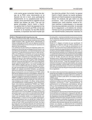260                                                    PROGRESOS EN PEDIATRIA                                        Arch.argent.pediatr


       unos veinte genes comandan todas las eta-                            los otros dos actúen. Por lo tanto, los genes
       pas de la PCD; unos interviniendo en la                              Ced-3 y Ced-4 inducen la muerte (proapop-
       decisión de vivir o morir, otros participando                        tóticos) y el Ced-9 sostiene la vida (antiapop-
       directamente en la autodestrucción de la                             tótico). El producto del gen Ced-3 es una
       célula y otros permitiendo la ingestión de las                       proteasa, más precisamente llamada
       células que acaban de morir. Tres son los                            caspasa que, como veremos, existe en for-
       genes principales: Ced-3, Ced-4 y Ced-9.                             mas inactivas o preproteasas y la cascada
       Los genes Ced-3 y Ced-4 se expresan en las                           (hay dos equivalentes conocidos: la cascada
       131 células que mueren por PCD, en las que                           de la coagulación y el sistema de comple-
       el Ced-9 no se expresa. En las 959 células                           mentos) ocurre por proteólisis sucesivas que
       restantes, la expresión de Ced-9 impide que                          van transformando preenzimas inactivas en


Gráfico 3: Receptores de la muerte y sus vías                           En este gráfico, mostramos también la estructura y función
A) Sobre la membrana celular (MC), se ubican miles de proteí-           de las caspasas, desde su activación y en los Gráficos 4 y
   nas pertenecientes a una familia de receptores de la muerte          5 se muestran los acontecimientos moleculares finales de
   (death receptors, DR). Los DR, llevan, clásicamente, la              la cascada.
   célula al engranaje de la PCD, pero en algunos momentos              Desde el C. elegans al hombre se han identificado 13
   utilizan vías distintas e incluso otras que son opuestas a la        caspasas con distintos roles en la PCD y también en la
   ejecución de la apoptosis.                                           inflamación. La 11 y la 12 sólo se encontraron en los
   Los miembros de esta familia de receptores están com-                ratones. Sus funciones fueron atribuidas después de nu-
   puestos por tres proteínas homólogas (homotrímeros), con             merosos estudios de especificidad enzimática, en ratones
   una estructura extracelular, una transmembranaria y una              knockout y de actividades biológicas en vitro y en vivo. La
   intracelular. En esta última se encuentran los “death domain”        estructura fue demostrada con la cristalización de la caspasa
   (DD), con tendencia a contactarse, por lo que se agrupan             3. La parte activa de la enzima de una de las dos subunidades
   en trímeros similares a la estructura extracelular. Cada             proteicas que constituyen un heterodímero, una de 20 kDa
   ligante, también compuesto por moléculas triméricas, en              y otra de 10 kDa, se junta con otra igual, formando un
   realidad se liga con tres moléculas similares que, juntas,           tetrámero activo. Ambas subunidades contribuyen con al-
   constituyen el DR activo. En el gráfico están señaladas,             gunos de sus amino-ácidos (AA) para el sitio catalítico (sitio
   además, las proteínas FADD (por FasR-associated death                activo de las enzimas). Todas las caspasas tienen una
   domain, también llamado Mort-1) con su dominio DED (por              estrecha homología en esas dos subunidades, pero al igual
   death effector domain) que por una unión homofílica se               que otras proteasas, cuando están como pre-enzima (en
   unen a dominios DED de las propias caspasas, cuyo ejem-              este caso, procaspasa) tienen un dominio muy variable (de
   plo más representativo es la caspasa 8 (también llamado              23 a 216 AA) en la porción NH2 terminal que está involucrado
   CARD, por caspase recruitment domain). Los dominios                  en su regulación.
   DED se encuentran en las caspasas 2, 8, 9 y 10. Después
   de su incorporación a la vía a través de los FADD, estos         B) Uno de los roles mayores de las caspasas es inactivar las
   DED de las caspasas inducen su autocatálisis, pasando así           proteínas que protegen a la célula de la apoptosis. Rompen
   de una procaspasa a una caspasa efectora que activa a la            el complejo natural de la nucleasa CAD con su inhibidor, el
   caspasa 9, llegando finalmente a la apoptosis. Las vías del         Icad/DFF45; al destruir este último, la nucleasa fragmenta
   TNFR1 y del DR3 son globalmente similares en cuanto a las           el ADN celular:
   estructuras proteicas que las constituyen, así como por los         Vimos morfológicamente los cambios sucesivos que va
   roles biológicos que cumplen. En efecto, ambas poseen               sufriendo el núcleo en el camino de la PCD (Gráfico 2). Las
   vías proapoptóticas y antiapoptóticas. Como vemos en la             caspasas contribuyen a ello, desensamblando la
   figura, las proteínas adaptadoras TRADD (por TNFR-                  polimerización de los filamentos intermediarios, láminas
   associated death domain) se ligan con su propio DD al DD            A,B y C, que normalmente están unidos en la forma “cabe-
   del TNFR-1 y actúan asociando otras proteínas señaladoras,          za-cola”. Las caspasas las cortan en un único sitio, produ-
   como RIP (por receptor-interacting protein y TRAF2 (por             ciendo el colapso de las láminas y facilitando la condensación
   TNFR-associated factor-2). Ambas conducen a la                      de la cromatina (b).
   estimulación de la vía de las MAPs quinasas (que termina            La desregulación de enzimas es específica para el normal
   activando al gen c-Jun) y de la vía que estimula al NF-kB           funcionamiento en la replicación o reparación del ADN, es
   (ver Gráfico 6). Ambas vías son estimulantes de la prolife-         así que las estructuras del citoesqueleto son los blancos de
   ración y el crecimiento celular y, en consecuencia, son             las caspasas en el proceso de la PCD. Se separa el dominio
   antiapoptóticas. Lo mismo ocurre con el DR3, especialmen-           regulatorio del dominio activo de estas enzimas, aumentan-
   te en su estimulación de la vía del NF-kB. Ambos DR, el             do o disminuyendo su actividad. Por ejemplo, en el caso de
   TNFR1 y el DR3, siguen la vía proapoptótica de una manera           la gelsolina, que ordena los microfilamentos de actina, su
   similar al FasR. Como ya se explicó en el texto, las vías y         actividad es desordenada después de la proteólisis que le
   las moléculas que participan después de la activación los           produjo una caspasa. La deformación de la membrana
   DR4 y DR5 así como los DcR1 (son trímeros de moléculas              celular, la formación de los dedos de guante o ampollas, es
   de glicosilfosfatidilinositol [GPI] proteínas ancladas en la        en parte debido a esto (c).
   MC) y DcR2, son menos conocidas.
 