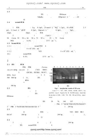 zycnzj.com/ www.zycnzj.com
 2  ï : óʽ PCR ϸԿή                                                                 ?3 9 ?

113 ϳ
  õõ׿ήԵֵ ITS , ѧ DNAmanбȽ , 
ή ί TaKaRa ˾ϳ ,  200 mol?L ĸҺ , - 20 
                                               - 1
                                                            ,
ʹǰóˮϡ 10  
114  nested 2PCR ׿ήм
    úϳɵԲԾľҺ ,  
     1  PCR Ӧϵ : Taqø 011 L , 25 mmol?L M g 112 L , 10 PCR ӦҺ 215
                                              - 1 2+


L , 215 mol?L dNTPҺ 012L , 20mol?L ͨ 014L , Ծ 5L , ˮ
              - 1                       - 1


25 LĻȺμ 20 L ʯF ,  PCR Ͻ ͬ 112
     2 ַӦϵģΪ 1  ( 1 L ) ﲻͬ , ɷͬ  :
94  4 m in; 92  50 s, 66  50 s, 72  95 s, ѭ 35  ; 72  8 m in
     PCR  ,  018%֬ϵӾ ( 5 V ?cm ) ,  
                                         - 1


115 Nested 2PCR Բⶨ
11511 Բⶨ ý nested 2PCR  4 ϸԿή 17 Ծ
                               5          - 1
 , ԾŨΪ 8  CFU ?mL 
                     10
11512 
                                                8  - 1
       Ȳⶨ ϵϡͷ 7451 ҺԭҺŨΪ 8  CFU ?mL , Դ˾Һ
                                              10
10 ϵϡ;Һ nested 2PCR  
     ,  018%֬ϵӾ ( 5 V ?cm ) ,  
                                    - 1




2
211  ITS PCR
   ͨ ITSA ITSB ֱ Pan toea
stew a rtii subsp. stew a rtii 2  ( 7451  0085 )
Եֵ 5  ( DCSS1, DCSS61, DC417,
0036, Ecc ) Ĳͬ ,  3  5 
500 800 bp  (ͼ 1 ) , Ƕ ITS
  tRNA Ŀͬ , 
              [6]
ĲСһ ÿһ
յ 500 bp ҵƬ                                                   ͼ 1Ծ ITS
212 ϸԿή ITS                                       F ig11 Am plica tion results of ITS area
   Ϻڻ˾ , õ 2 ϸ                             (Lane 1      7: 7451, 0085, DCSS1, DCSS6, DC417, Ecc
                                                        and 0036; Lane 8: Negative CK; M: DL2000 marker, bands from
ή            ITS    
                                                        the top down is 2 000, 1 000, 750, 500, 200 and 100 bp , respec2
DNAm an бȽ , ѡȡλ
                                                        tively)
 
  Ƶԭ , ѡ׿ή ITS 59  78,  340  357  , 
ǿ , ҷѡԭ Ƶ : PSA: 5  GCGCTTGCGTGTTATGAGCT2
                                                2
           2
3  PSB: 5 
           AGTCGGCTGCGAAGCCGA 2 
                                3 öϽ 1  299 bp Ƭ 
213 Լ
    úϳɵ 21 Ծ PCR  , ֻܴ׿ή 7451 0085 S 2     W
DC147 Լ 300 bp  (ﾭСΪ 299 bp ,  , δ ) ,
Ծв (ͼ 2 ) 
214 Ȳⶨ
  ͼ 3 ʾ , Ӧϵֻ 4 ʱ ,  2 ܹ۲쵽 299 bp  
 , ֻ ITSе nested 2PCR Ϊ 4 ׿ή 

                               zycnzj.com/http://www.zycnzj.com/
 