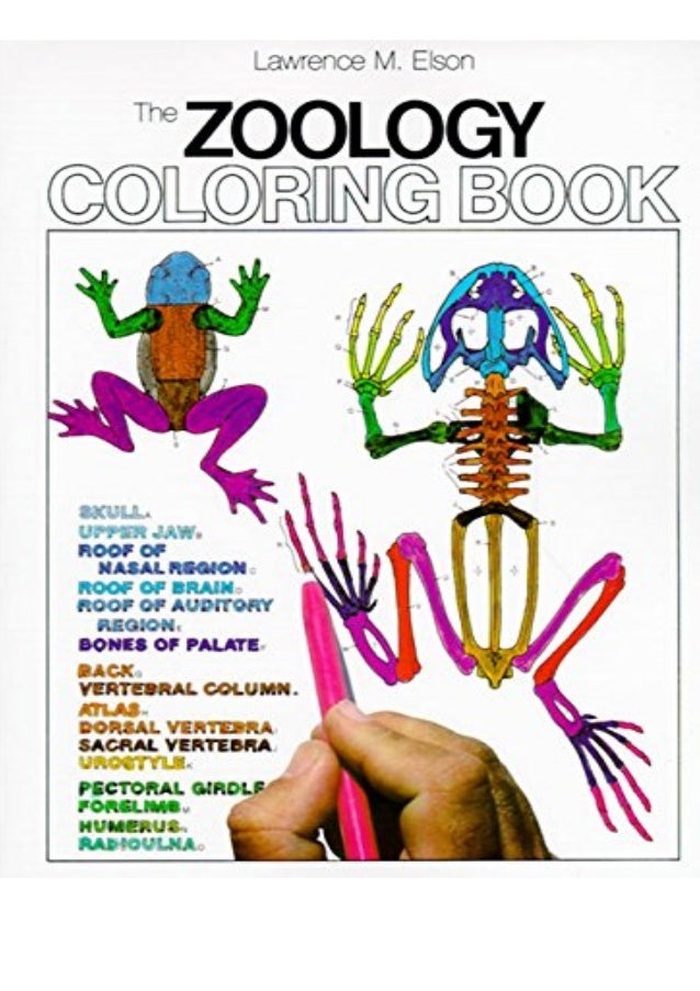 Download Pdf Read Online The Zoology Coloring Book