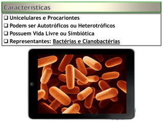  Unicelulares e Procariontes
 Podem ser Autotróficos ou Heterotróficos
 Possuem Vida Livre ou Simbiótica
 Representantes: Bactérias e Cianobactérias
 