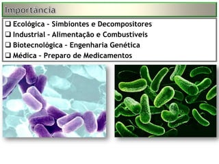  Ecológica – Simbiontes e Decompositores
 Industrial – Alimentação e Combustíveis
 Biotecnológica – Engenharia Genética
 Médica – Preparo de Medicamentos
 