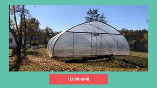 ТЕПЛИЧНИЙ
 