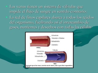 Pdf tema-5-trastornos-circulatorios-dd3