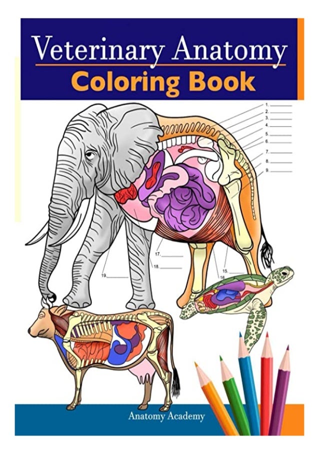 Animal Anatomy Coloring Book Www.robertdee.org Animal Anatomy Coloring Book Www.robertdee.org