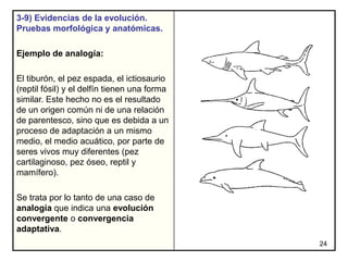 3-9) Evidencias de la evolución.
Pruebas morfológica y anatómicas.

Ejemplo de analogía:

El tiburón, el pez espada, el ic...