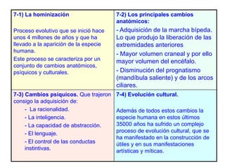 7-1) La hominización                   7-2) Los principales cambios
                                       anatómicos:
Pro...