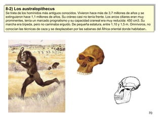 8-2) Los australopithecus
Se trata de los homínidos más antiguos conocidos. Vivieron hace más de 3,7 millones de años y se...