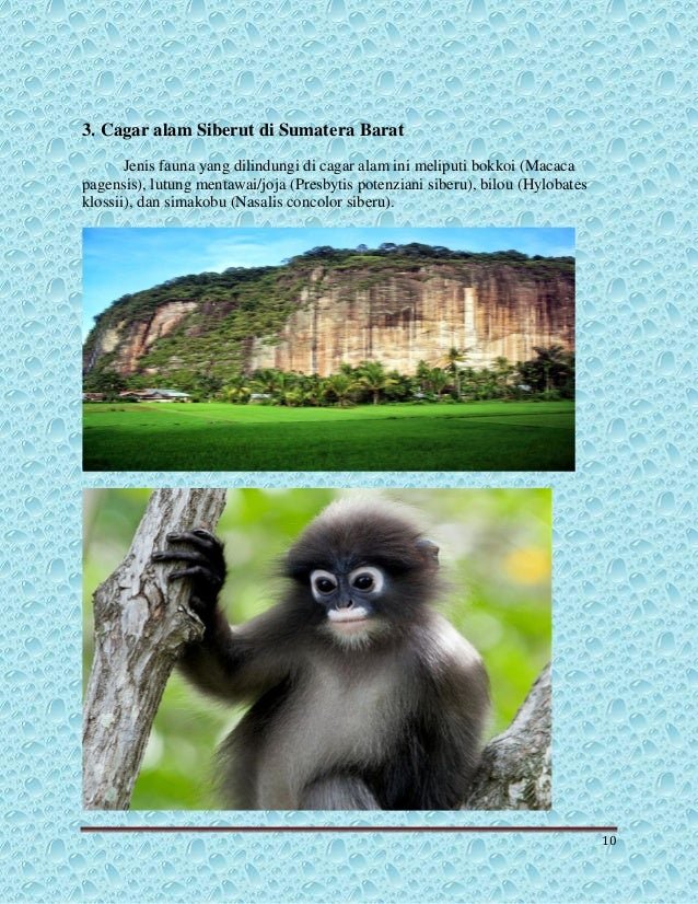 Cagar Alam Cagar Alam