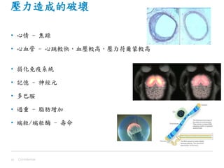 壓力造成的破壞
• 心情 - 焦躁
• 心血管 - 心跳較快，血壓較高，壓力荷爾蒙較高
• 弱化免疫系統
• 記憶 - 神經元
• 多巴胺
• 過重 - 脂肪增加
• 端粒/端粒酶 - 壽命
Confidential16
 