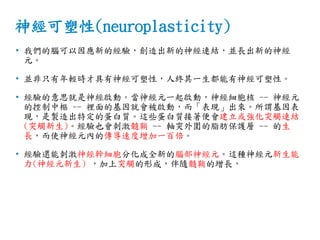 神經可塑性(neuroplasticity)
• 我們的腦可以因應新的經驗，創造出新的神經連結，並長出新的神經
元。
• 並非只有年輕時才具有神經可塑性，人終其一生都能有神經可塑性。
• 經驗的意思就是神經啟動。當神經元一起啟動，神經細胞核 -- 神經元
的控制中樞 -- 裡面的基因就會被啟動，而「表現」出來。所謂基因表
現，是製造出特定的蛋白質。這些蛋白質接著便會建立或強化突觸連結
(突觸新生)。經驗也會刺激髓鞘 -- 軸突外圍的脂肪保護層 -- 的生
長，而使神經元內的傳導速度增加一百倍。
• 經驗還能刺激神經幹細胞分化成全新的腦部神經元。這種神經元新生能
力(神經元新生) ，加上突觸的形成，伴隨髓鞘的增長，
 