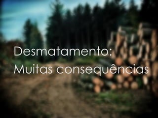 Desmatamento:
Muitas consequências
 