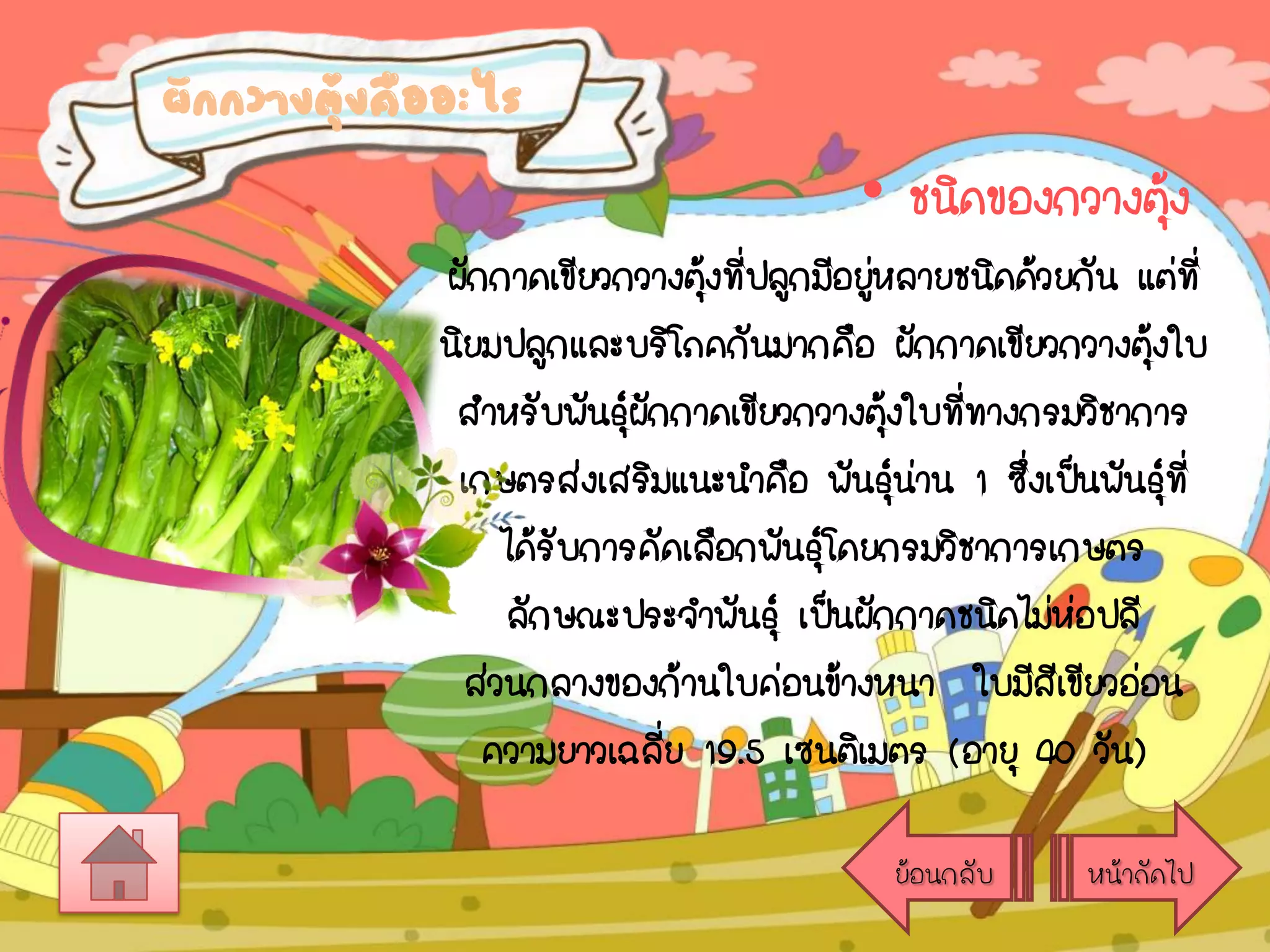 ผักกวางตุ้งคืออะไร

• ชนิดของกวางตุง
้
ผักกาดเขียวกวางตุงทีปลูกมีอยูหลายชนิดด้วยกัน แต่ที่
้ ่
่
นิยมปลูกและบริโภคกันมากคือ ผักกาดเขียวกวางตุงใบ
้
สาหรับพันธุ์ผกกาดเขียวกวางตุงใบทีทางกรมวิชาการ
ั
้ ่
เกษตรส่งเสริมแนะนาคือ พันธุ์นาน 1 ซึ่งเป็นพันธุ์ที่
่
ได้รบการคัดเลือกพันธุโดยกรมวิชาการเกษตร
ั
์
ลักษณะประจาพันธุ์ เป็นผักกาดชนิดไม่หอปลี
่
ส่วนกลางของก้านใบค่อนข้างหนา ใบมีสีเขียวอ่อน
ความยาวเฉลีย 19.5 เซนติเมตร (อายุ 40 วัน)
่
ย้อนกลับ

หน้าถัดไป

 