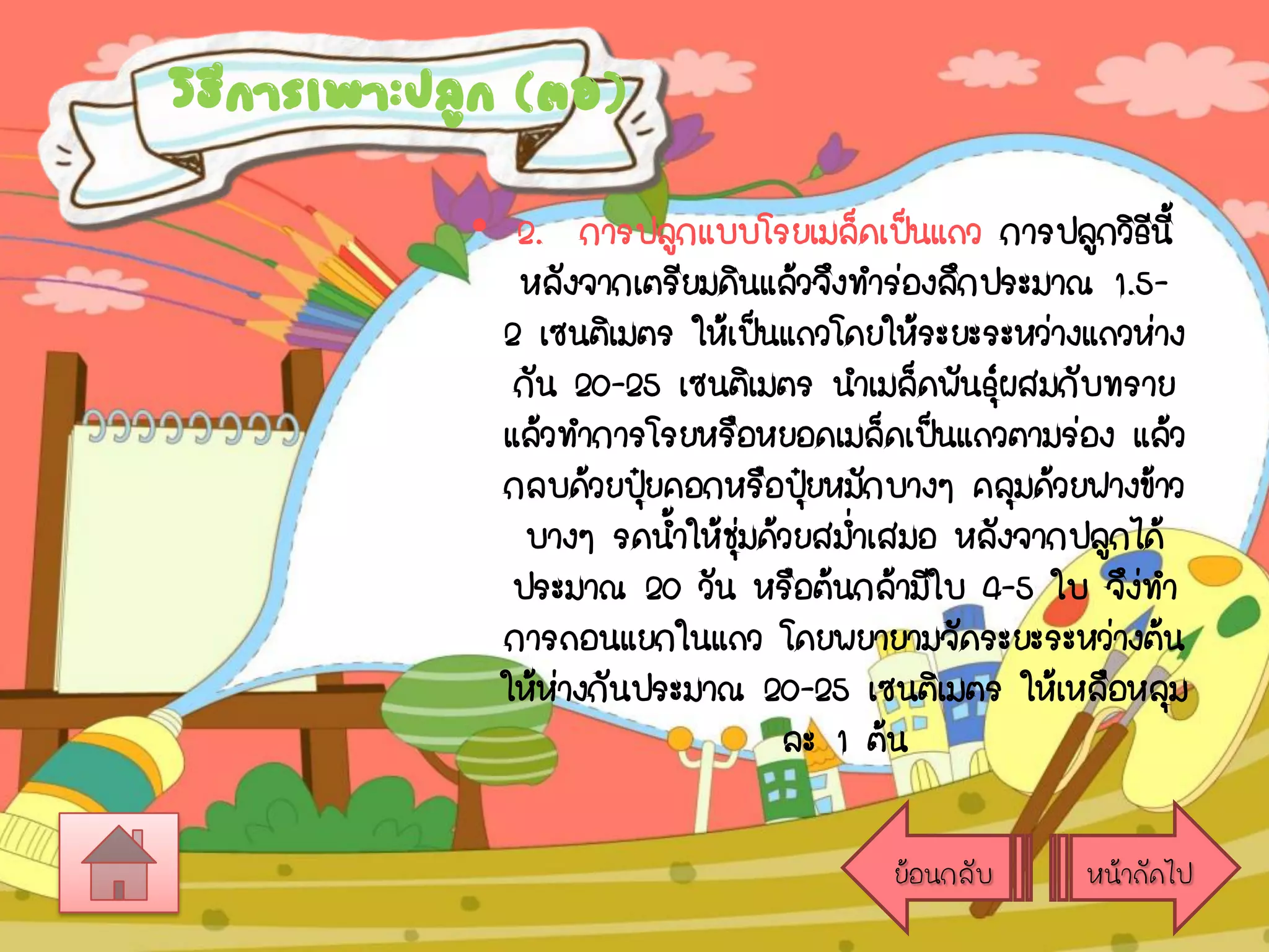 วิธการเพาะปลูก (ตอ)
ี
• 2. การปลูกแบบโรยเมล็ดเป็นแถว การปลูกวิธนี้
ี
หลังจากเตรียมดินแล้วจึงทาร่องลึกประมาณ 1.52 เซนติเมตร ให้เป็นแถวโดยให้ระยะระหว่างแถวห่าง
กัน 20-25 เซนติเมตร นาเมล็ดพันธุผสมกับทราย
์
แล้วทาการโรยหรือหยอดเมล็ดเป็นแถวตามร่อง แล้ว
กลบด้วยปุ๋ยคอกหรือปุยหมักบางๆ คลุมด้วยฟางข้าว
๋
บางๆ รดน้าให้ชมด้วยสม่าเสมอ หลังจากปลูกได้
ุ่
ประมาณ 20 วัน หรือต้นกล้ามีใบ 4-5 ใบ จึงทา
่
การถอนแยกในแถว โดยพยายามจัดระยะระหว่างต้น
ให้ห่างกันประมาณ 20-25 เซนติเมตร ให้เหลือหลุม
ละ 1 ต้น
ย้อนกลับ

หน้าถัดไป

 