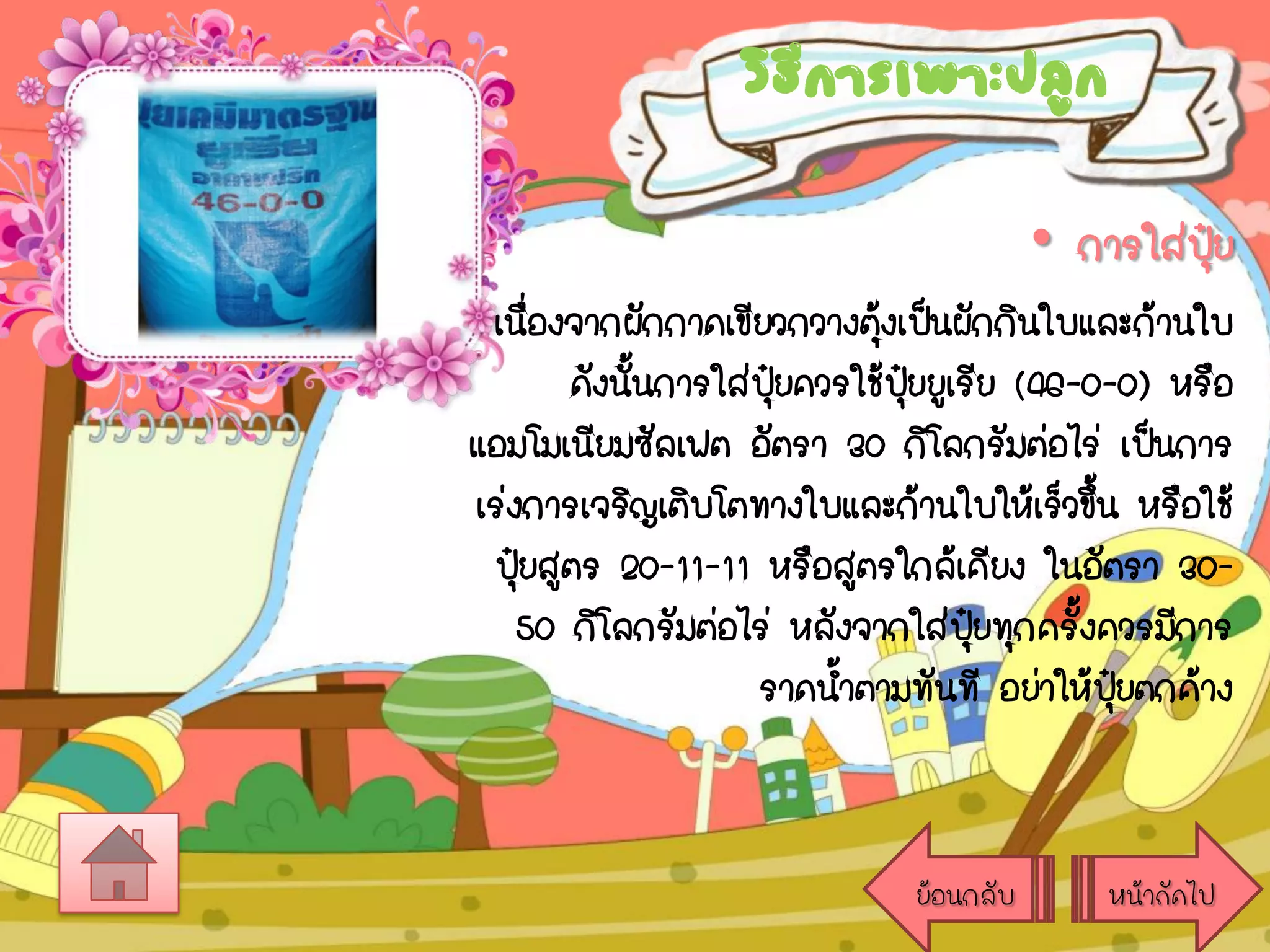 วิธการเพาะปลูก
ี

• การใส่ปย
ุ๋
เนืองจากผักกาดเขียวกวางตุงเป็นผักกินใบและก้านใบ
่
้
ดังนันการใส่ปยควรใช้ปยยูเรีย (46-0-0) หรือ
้
ุ๋
ุ๋
แอมโมเนียมซัลเฟต อัตรา 30 กิโลกรัมต่อไร่ เป็นการ
เร่งการเจริญเติบโตทางใบและก้านใบให้เร็วขึ้น หรือใช้
ปุยสูตร 20-11-11 หรือสูตรใกล้เคียง ในอัตรา 30๋
50 กิโลกรัมต่อไร่ หลังจากใส่ปยทุกครั้งควรมีการ
ุ๋
ราดน้าตามทันที อย่าให้ปยตกค้าง
ุ๋

ย้อนกลับ

หน้าถัดไป

 