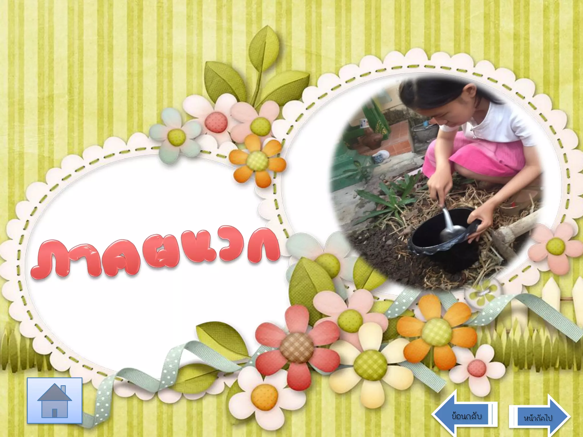 ย้อนกลับ

หน้าถัดไป

 