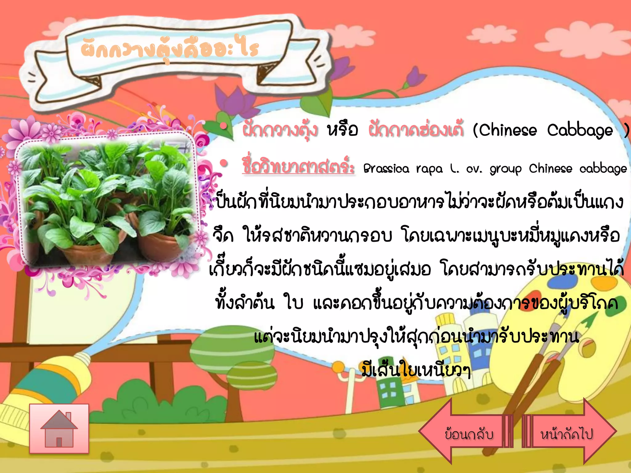 ผักกวางตุ้งคืออะไร

• ผักกวางตุง หรือ ผักกาดฮ่องเต้ (Chinese Cabbage )
้
• ชือวิทยาศาสตร์: Brassica rapa L. cv. group Chinese cabbage
่
เป็นผักทีนยมนามาประกอบอาหารไม่วาจะผัดหรือต้มเป็นแกง
่ิ
่
จืด ให้รสชาติหวานกรอบ โดยเฉพาะเมนูบะหมีหมูแดงหรือ
่
เกี๊ยวก็จะมีผักชนิดนีแซมอยูเ่ สมอ โดยสามารถรับประทานได้
้
ทั้งลาต้น ใบ และดอกขึนอยูกับความต้องการของผูบริโภค
้ ่
้
แต่จะนิยมนามาปรุงให้สุกก่อนนามารับประทาน
มีเส้นใยเหนียวๆ
ย้อนกลับ

หน้าถัดไป

 