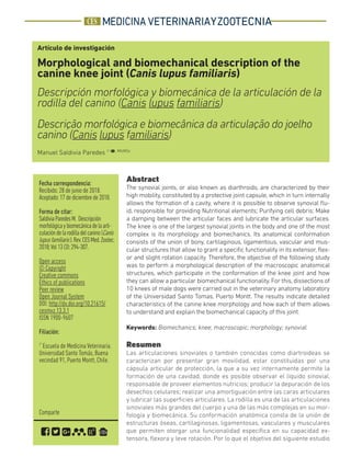 MEDICINA VETERINARIAYZOOTECNIA
Fecha correspondencia:
Recibido: 28 de junio de 2018.
Aceptado:17dediciembrede2018.
Forma de citar:
SaldiviaParedesM. Descripción
morfológicaybiomecánicadelaarti-
culacióndelarodilladelcanino(Canis
lupusfamiliaris).Rev.CESMed.Zootec.
2018;Vol13(3):294-307.
Open access
© Copyright
Creative commons
Éthics of publications
Peer review
Open Journal System
DOI: http://dx.doi.org/10.21615/
cesmvz.13.3.1
ISSN 1900-9607
Filiación:
1*
Escuela de Medicina Veterinaria.
Universidad Santo Tomás, Buena
vecindad 91, Puerto Montt, Chile.
Artículo de investigación
Morphological and biomechanical description of the
canine knee joint (Canis lupus familiaris)
Descripción morfológica y biomecánica de la articulación de la
rodilla del canino (Canis lupus familiaris)
Descrição morfológica e biomecânica da articulação do joelho
canino (Canis lupus familiaris)
Manuel Saldivia Paredes 1* , MV,MSc
Comparte
Abstract
The synovial joints, or also known as diarthroids, are characterized by their
high mobility, constituted by a protective joint capsule, which in turn internally
allows the formation of a cavity, where it is possible to observe synovial flu-
id, responsible for providing Nutritional elements; Purifying cell debris; Make
a damping between the articular faces and lubricate the articular surfaces.
The knee is one of the largest synovial joints in the body and one of the most
complex is its morphology and biomechanics. Its anatomical conformation
consists of the union of bony, cartilaginous, ligamentous, vascular and mus-
cular structures that allow to grant a specific functionality in its extensor, flex-
or and slight rotation capacity. Therefore, the objective of the following study
was to perform a morphological description of the macroscopic anatomical
structures, which participate in the conformation of the knee joint and how
they can allow a particular biomechanical functionality. For this, dissections of
10 knees of male dogs were carried out in the veterinary anatomy laboratory
of the Universidad Santo Tomas, Puerto Montt. The results indicate detailed
characteristics of the canine knee morphology and how each of them allows
to understand and explain the biomechanical capacity of this joint.
Keywords: Biomechanics; knee; macroscopic; morphology; synovial.
Resumen
Las articulaciones sinoviales o también conocidas como diartroideas se
caracterizan por presentar gran movilidad, estar constituidas por una
cápsula articular de protección, la que a su vez internamente permite la
formación de una cavidad, donde es posible observar el líquido sinovial,
responsable de proveer elementos nutricios; producir la depuración de los
desechos celulares; realizar una amortiguación entre las caras articulares
y lubricar las superficies articulares. La rodilla es una de las articulaciones
sinoviales más grandes del cuerpo y una de las más complejas en su mor-
fología y biomecánica. Su conformación anatómica consta de la unión de
estructuras óseas, cartilaginosas, ligamentosas, vasculares y musculares
que permiten otorgar una funcionalidad específica en su capacidad ex-
tensora, flexora y leve rotación. Por lo que el objetivo del siguiente estudio
 