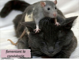 fomentant la
             convivència
dissabte 17 de octubre de 2009
 