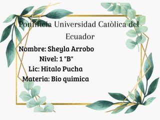 Pontificia Universidad Catòlica del
Ecuador
Nombre: Sheyla Arrobo
Nivel: 1 "B"
Lic: Hitalo Pucha
Materia: Bio quimica
 