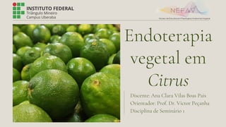 Endoterapia
vegetal em
Citrus
Discente: Ana Clara Vilas Boas Pais
Orientador: Prof. Dr. Victor Peçanha
Disciplina de Seminário 1
 