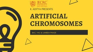 K. ADITYA PRESENTS
ARTIFICIAL
CHROMOSOMES
BAC, YAC & LAMBDA PHAGE
 
