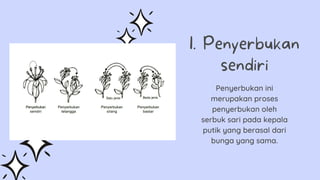 Penyerbukan ini
merupakan proses
penyerbukan oleh
serbuk sari pada kepala
putik yang berasal dari
bunga yang sama.
1. Penyerbukan
sendiri