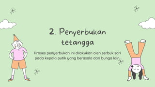 Proses penyerbukan ini dilakukan oleh serbuk sari
pada kepala putik yang berasala dari bunga lain.
2. Penyerbukan
tetangga