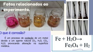 Fotos relacionados ao
experimento.
 