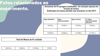 Fotos relacionados ao
experimento.
 