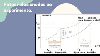 Fotos relacionados ao
experimento.
 