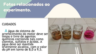 Fotos relacionados ao
experimento.
 