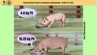 Resíduo de Biscoito e Macarrão na Alimentação de Não-Ruminantes - DA SILVA et al., 2023.
4-6 kg PV
15-25 kg PV
Fonte:
Elab...