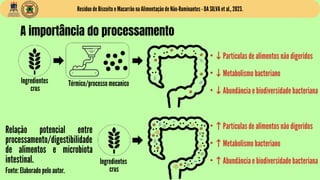 Resíduo de Biscoito e Macarrão na Alimentação de Não-Ruminantes - DA SILVA et al., 2023.
A importância do processamento
In...