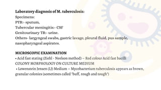 Laboratory diagnosis of M. tuberculosis:
Specimens:
PTB:- sputum,
Tubercular meningitis:- CSF
Genitourinary TB:- urine.
Others- largyngeal swabs, gastric lavage, pleural fluid, pus sample,
nasopharyngeal aspirates.
MICROSCOPIC EXAMINATION
• Acid fast stating (Ziehl - Neelson method) – Red colour Acid fast bacilli
COLONY MORPHOLOGY ON CULTURE MEDIUM
• Lowenstein Jensen (LJ) Medium – Mycobacterium tuberculosis appears as brown,
granular colonies (sometimes called "buff, rough and tough")
 