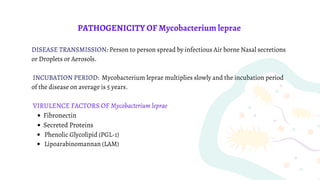 Fibronectin
Secreted Proteins
Phenolic Glycolipid (PGL-1)
Lipoarabinomannan (LAM)
PATHOGENICITY OF Mycobacterium leprae
DISEASE TRANSMISSION: Person to person spread by infectious Air borne Nasal secretions
or Droplets or Aerosols.
INCUBATION PERIOD: Mycobacterium leprae multiplies slowly and the incubation period
of the disease on average is 5 years.
VIRULENCE FACTORS OF Mycobacterium leprae
 