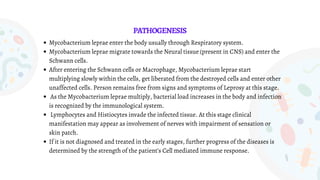 Mycobacterium leprae enter the body usually through Respiratory system.
Mycobacterium leprae migrate towards the Neural tissue (present in CNS) and enter the
Schwann cells.
After entering the Schwann cells or Macrophage, Mycobacterium leprae start
multiplying slowly within the cells, get liberated from the destroyed cells and enter other
unaffected cells. Person remains free from signs and symptoms of Leprosy at this stage.
As the Mycobacterium leprae multiply, bacterial load increases in the body and infection
is recognized by the immunological system.
Lymphocytes and Histiocytes invade the infected tissue. At this stage clinical
manifestation may appear as involvement of nerves with impairment of sensation or
skin patch.
If it is not diagnosed and treated in the early stages, further progress of the diseases is
determined by the strength of the patient’s Cell mediated immune response.
PATHOGENESIS
 