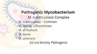 Pathogenic Mycobacterium
M. tuberculosis Complex
◦M. tuberculosis - Common
◦M. leprae - Uncommon
◦M. africanum
◦M. bovis
◦M. ulcerans
All are Strictly Pathogenic
 