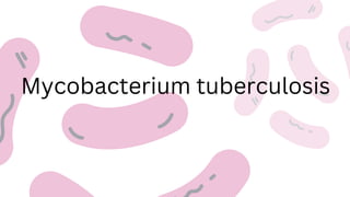 Mycobacterium tuberculosis
 