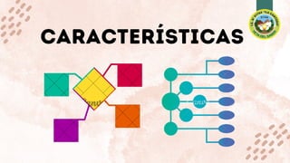 CARACTERÍSTICAS
 