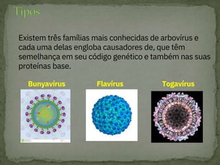 Existem três famílias mais conhecidas de arbovírus e
cada uma delas engloba causadores de, que têm
semelhança em seu código genético e também nas suas
proteínas base.
Bunyavírus Flavírus Togavírus
 