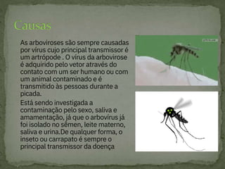 

As arboviroses são sempre causadas
por vírus cujo principal transmissor é
um artrópode . O vírus da arbovirose
é adquirido pelo vetor através do
contato com um ser humano ou com
um animal contaminado e é
transmitido às pessoas durante a
picada.
Está sendo investigada a
contaminação pelo sexo, saliva e
amamentação, já que o arbovírus já
foi isolado no sêmen, leite materno,
saliva e urina.De qualquer forma, o
inseto ou carrapato é sempre o
principal transmissor da doença
 